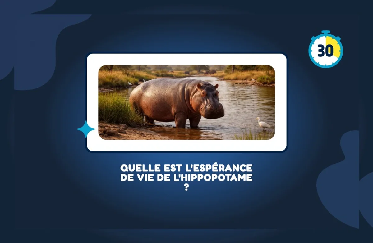 Question de quiz chronométrée à l'écran